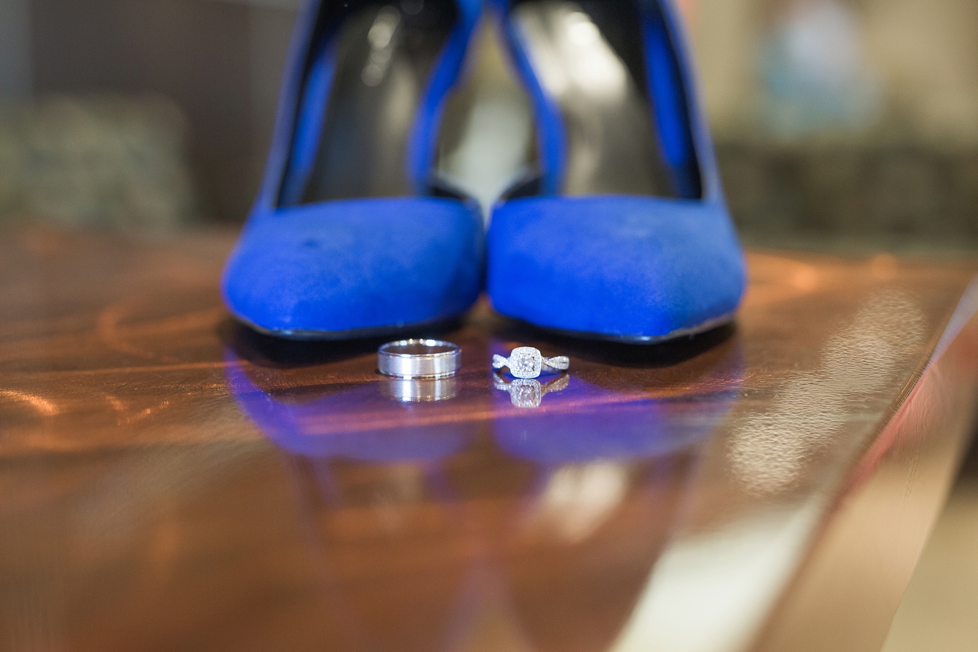Matthaei Botanical Garden Bride Photograph