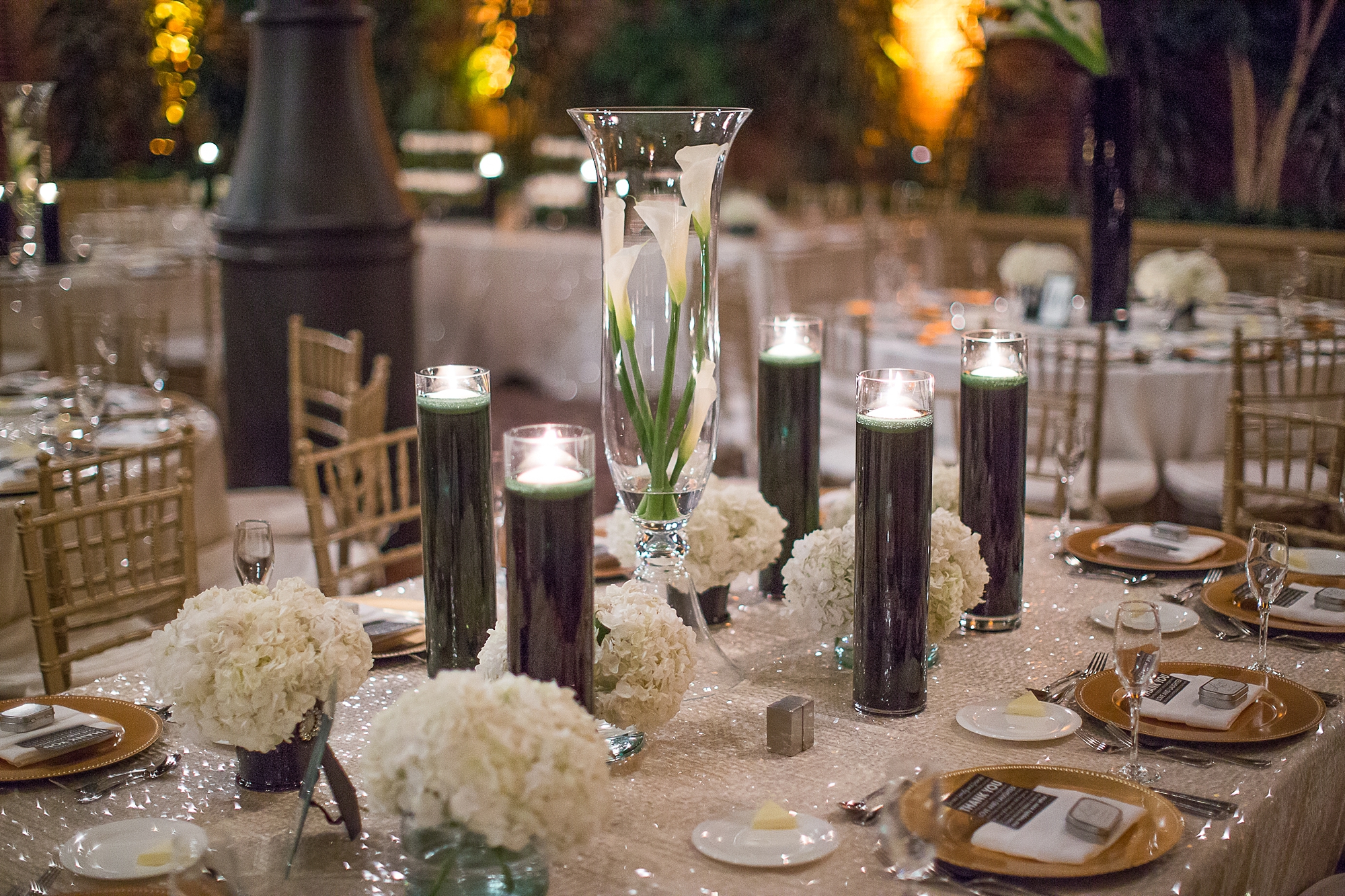 Zeffa Wedding Photograph