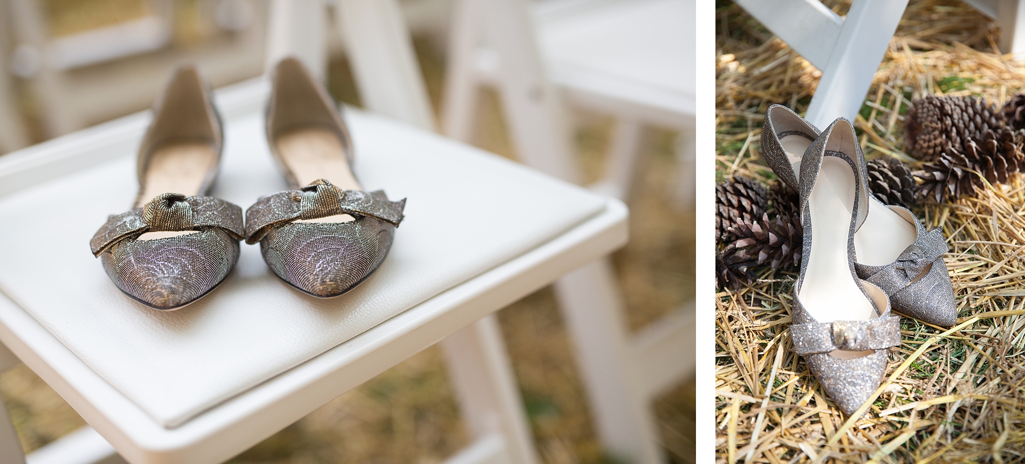 Bissell Treehouse Grand Rapids Wedding Photographers
