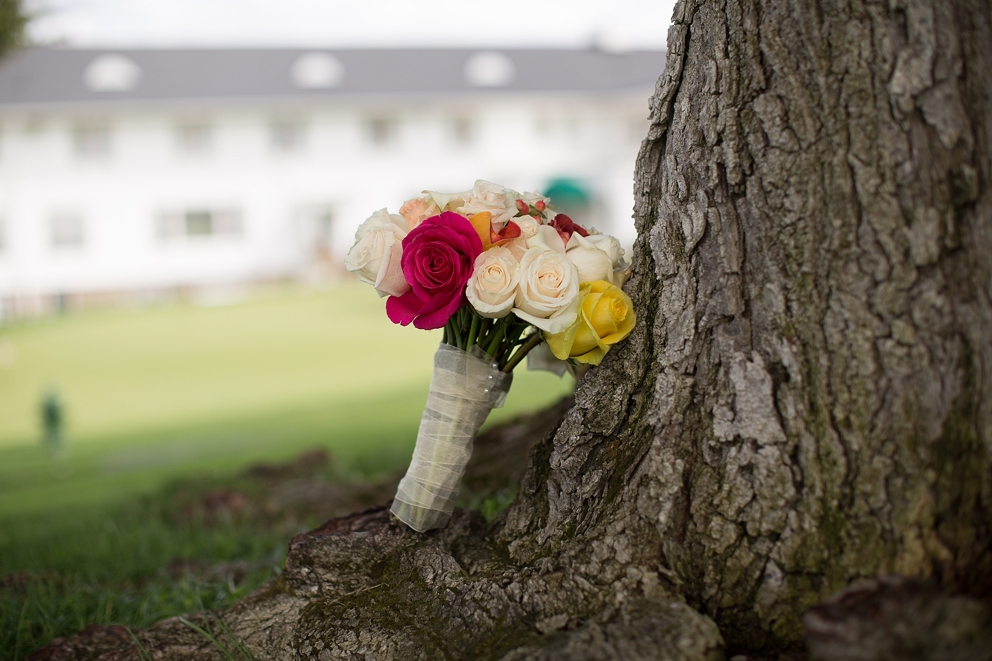 Bloomfield Hills Wedding Photography