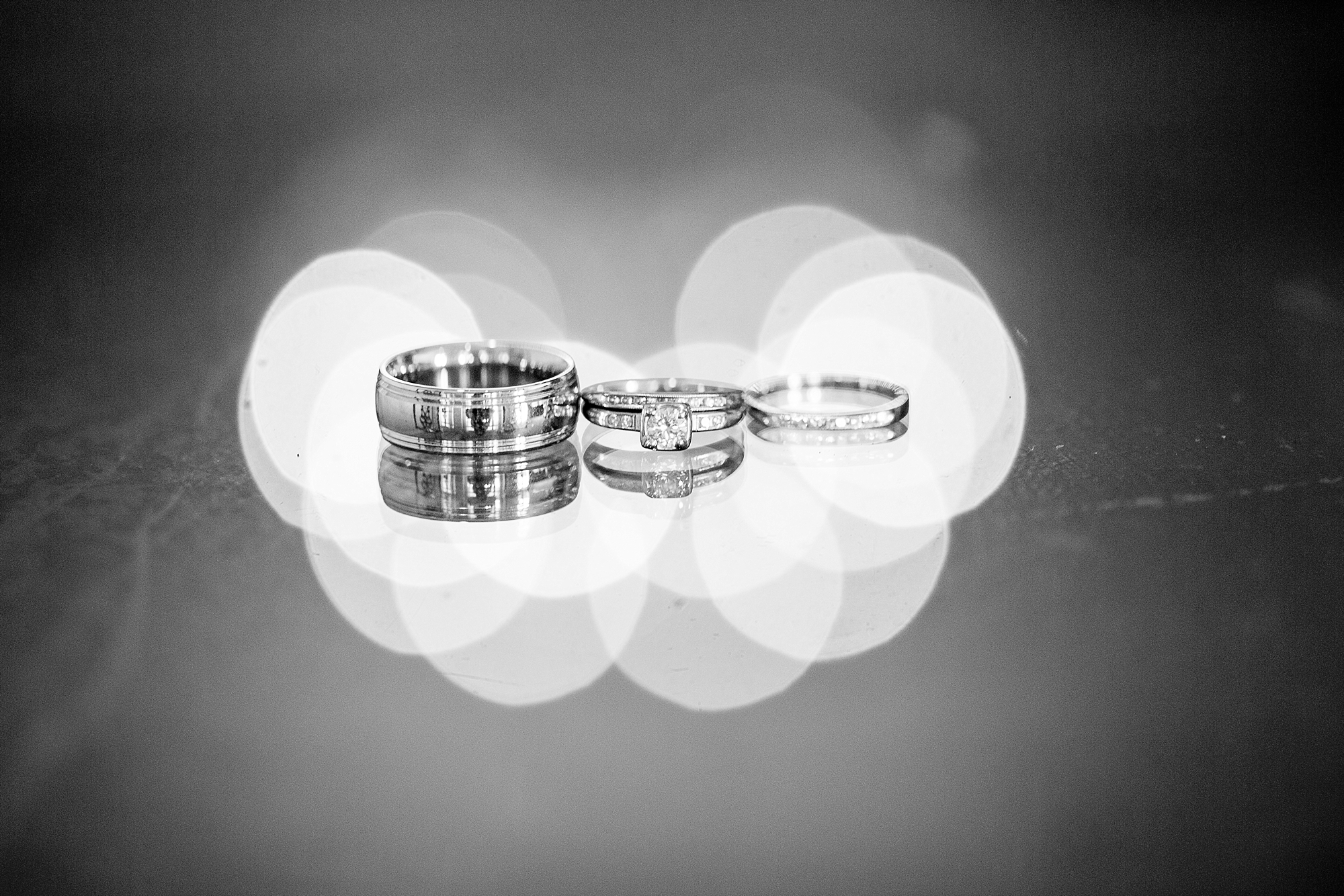Bloomfield Hills Wedding Photographers