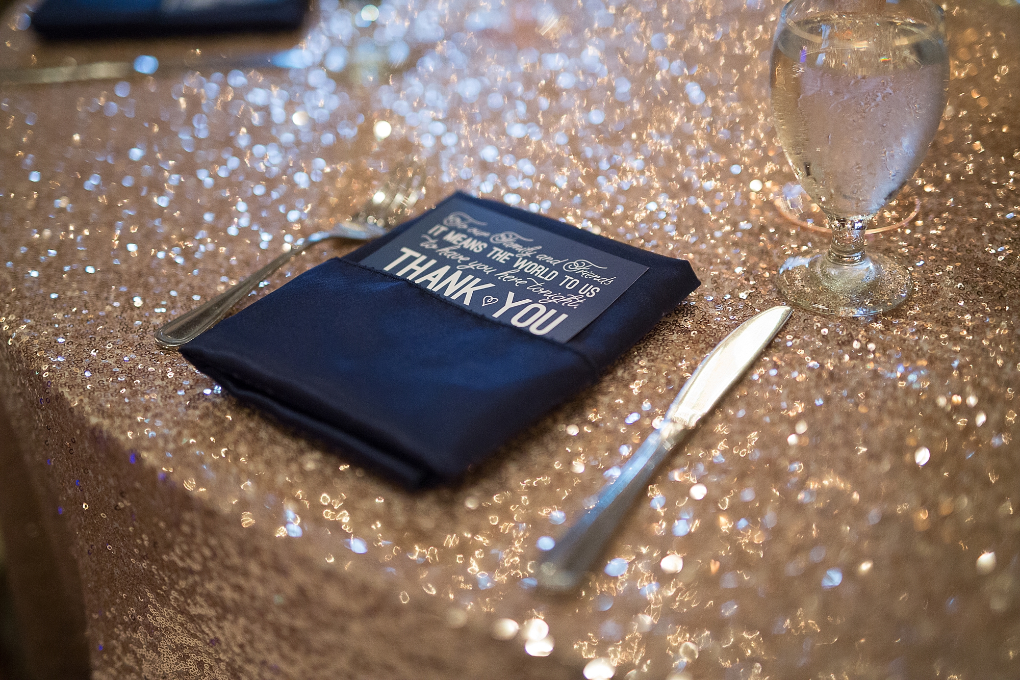 Plus Sized Michigan Wedding Photograph