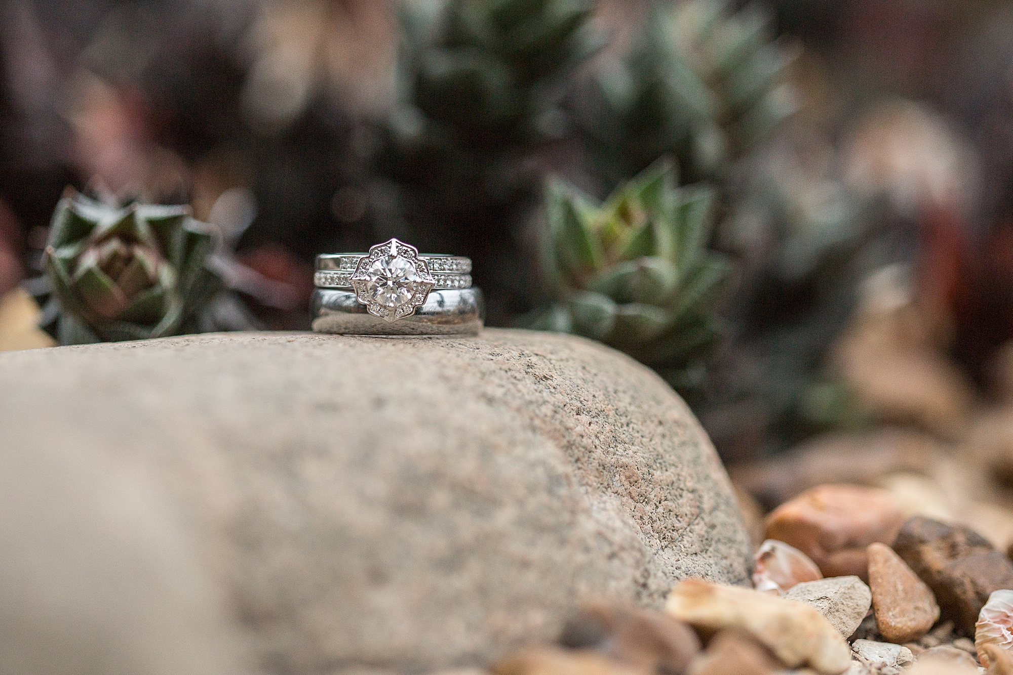 Matthaei Botanical Gardens Wedding Photography