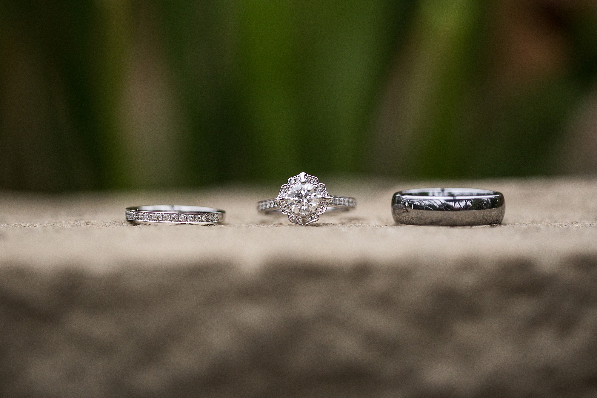 Matthaei Botanical Gardens Wedding Photography