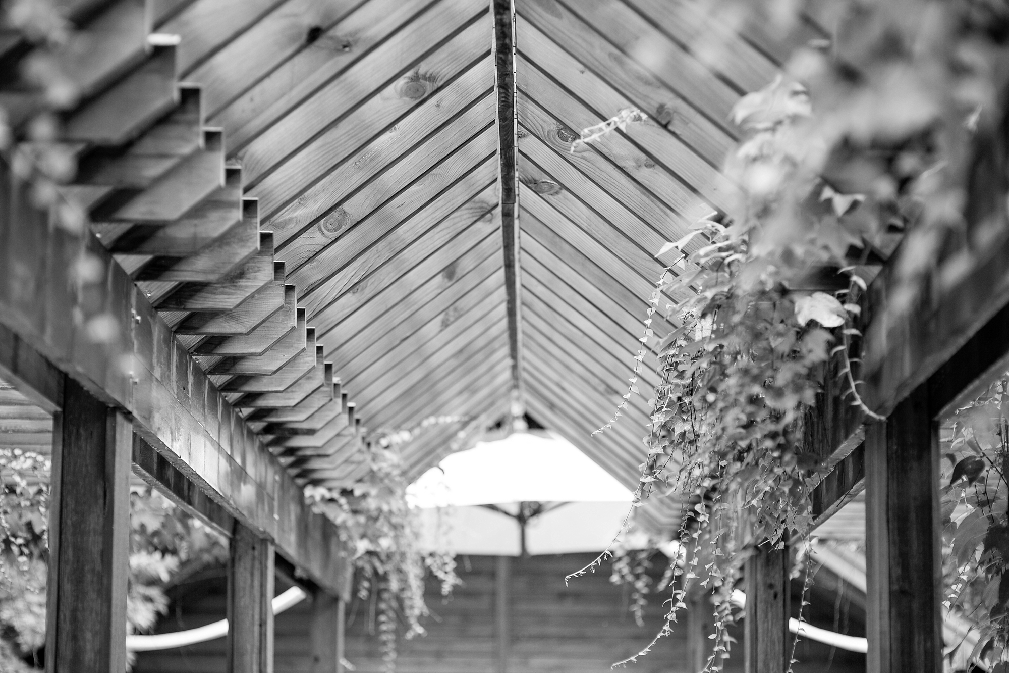 Interlochen Frog Pond Village Wedding Photography